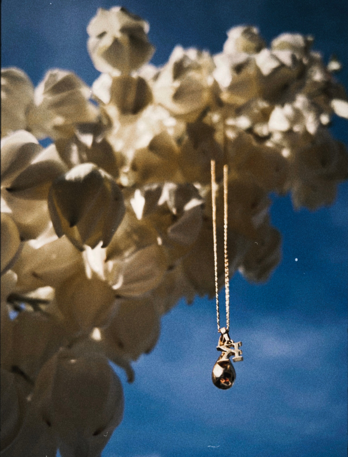 Alpha Necklace 14k
